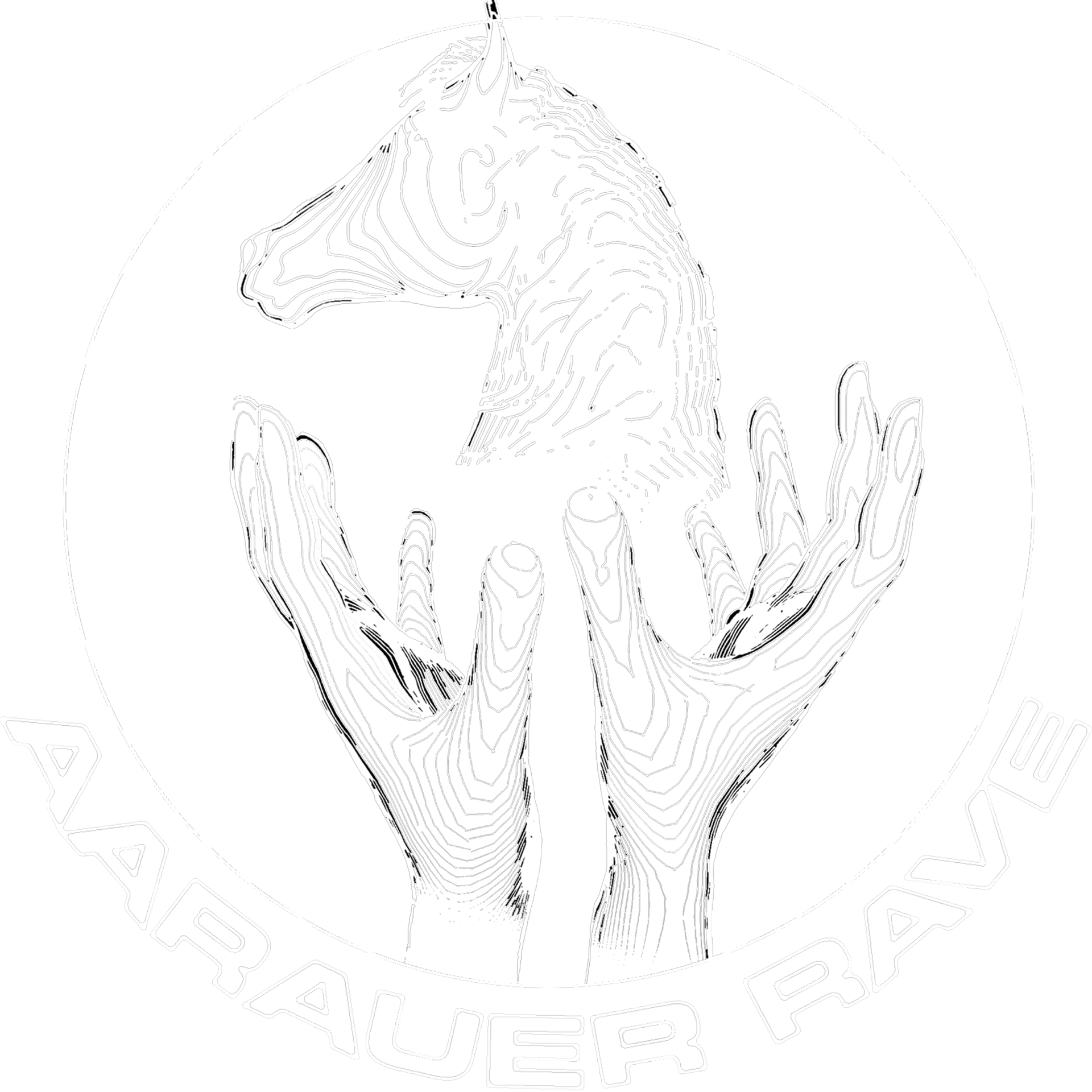 Aarauer Rave